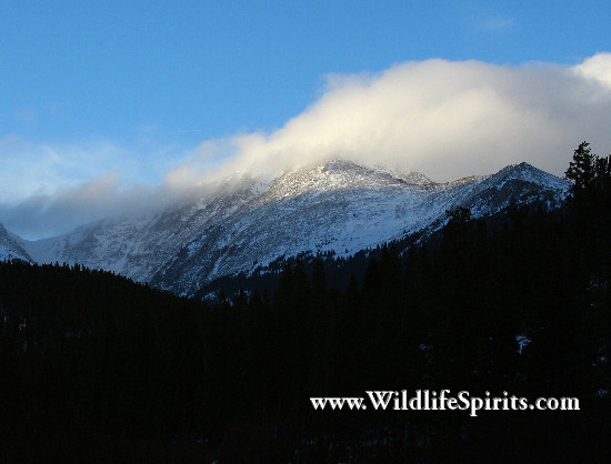 Click Picture to send as an  E-PostCard 63k 550x418